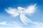 Shirley M. Lineaweaver
